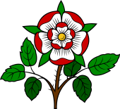 Tudor Rose Stalked-Leaved