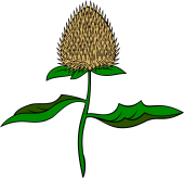 Burdock (Bur)