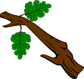 Oak Branch (for perching)