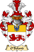 Irish Family Coat of Arms (v.23) for O