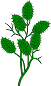 Nettles Branch