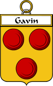 Irish Badge for Gavin or O