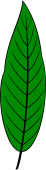 Laurel Leaf