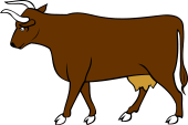 Cow