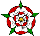 Tudor Rose Barbed