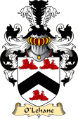 Irish Family Coat of Arms (v.23) for O