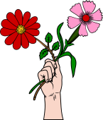 Hand Holding Carnation-Marigold