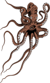 Pouple (Octopus) Affronte