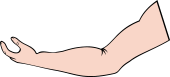 Arm 36