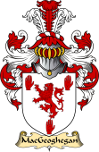 Irish Family Coat of Arms (v.23) for MacGeoghegan or O