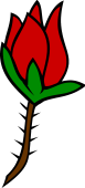 Rose Bud