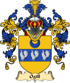 Scottish Family Coat of Arms (v.25) Ogill