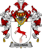 Irish Family Coat of Arms (v.25b) Cullinan or O