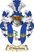 Irish Family Coat of Arms (v.23) for O