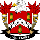 Pyne