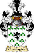 Irish Family Coat of Arms (v.23) for O