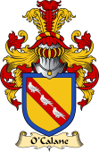 Irish Family Coat of Arms (v.23) for O