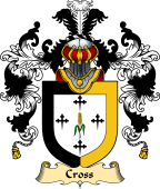 Scottish Family Coat of Arms (v.25) Cross