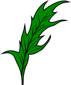 Thistle Leaf 2