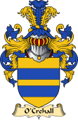 Irish Family Coat of Arms (v.23) for O