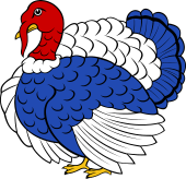 Turkey Cock