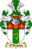 Irish Family Coat of Arms (v.23) for O