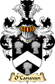 Irish Family Coat of Arms (v.23) for O