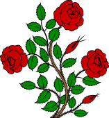 Rose Bush 3