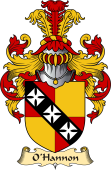 Irish Family Coat of Arms (v.23) for O