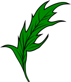 Thistle Leaf 4