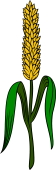 Wheat Stalk Bladed