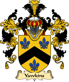 Scottish Family Coat of Arms (v.25) Yawkins