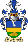 Irish Family Coat of Arms (v.23) for O