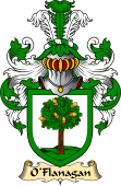 Irish Family Coat of Arms (v.23) for O