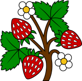 Strawberry Flourish