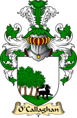 Irish Family Coat of Arms (v.23) for O