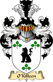 Irish Family Coat of Arms (v.23) for O