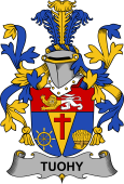 Irish Coat of Arms for Tuohy or O