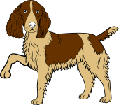 Spaniel Passant Guardant