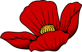 Poppy (flower only)