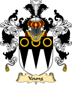 Scottish Family Coat of Arms (v.25) Young