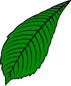 Chestnut Leaf