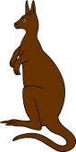 Kangaroo 1