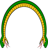 Serpent Enarched Head at Both Ends