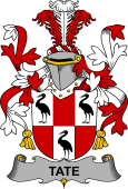 Irish Coat of Arms for Tate