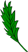 Thistle Leaf 5