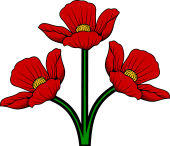 Poppies (3)