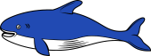 Dolphin