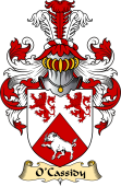 Irish Family Coat of Arms (v.23) for O