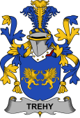 Irish Coat of Arms for Trehy or O